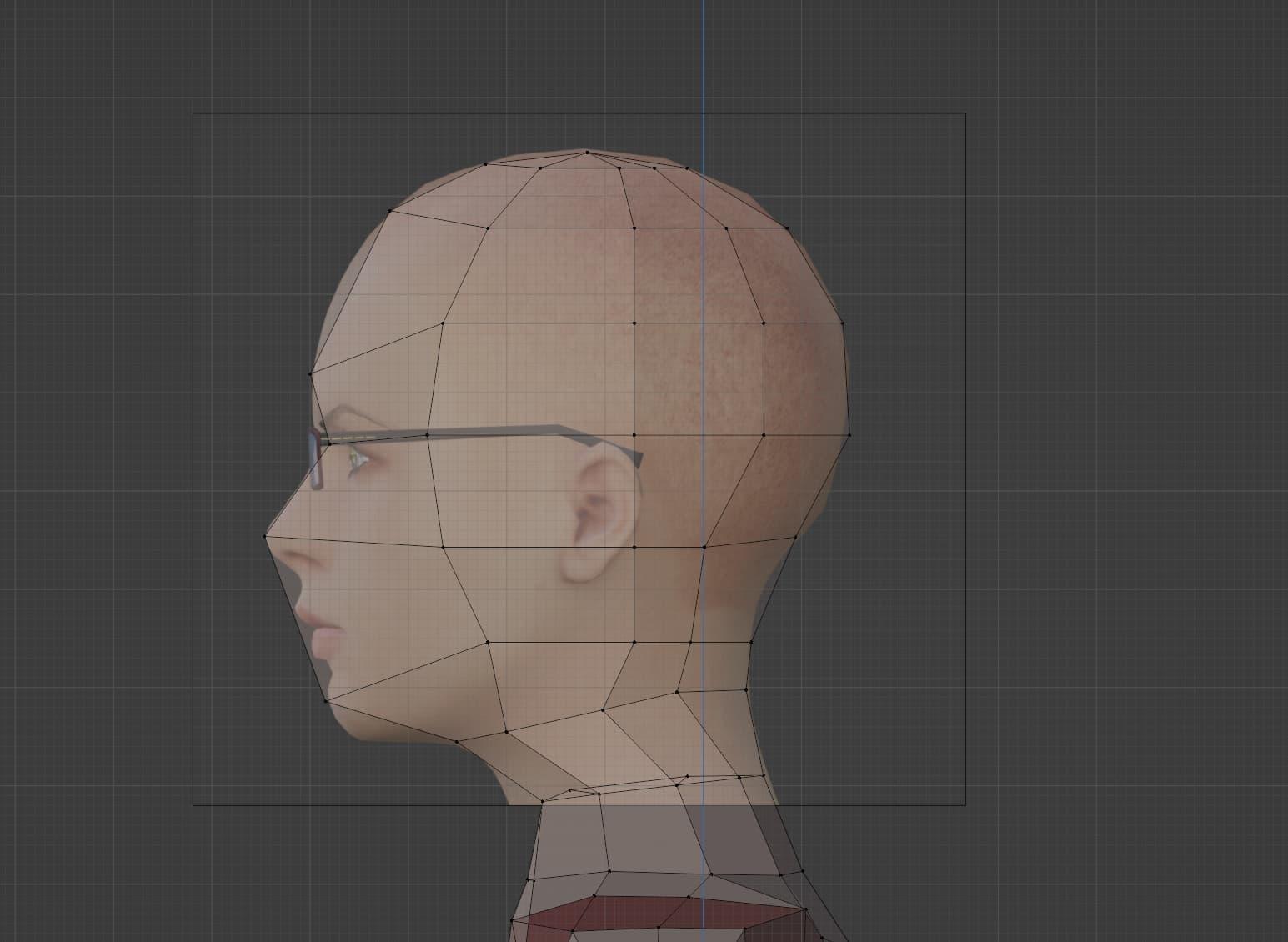 The basic shape of a head has been constructed, using the side profile of a bald female head as a reference image
